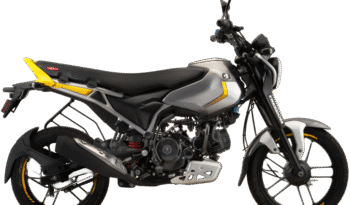 BAJAJ FREEDOM 125 NG04 DRUM LED 1