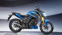 HONDA HORNET 2.0 ABS STD OBD B